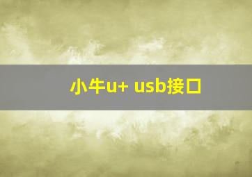 小牛u+ usb接口